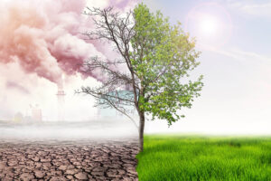 The Right Approach to Climate and Energy policy